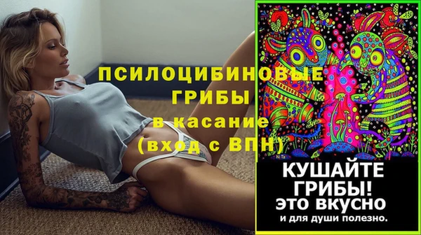 прущие крисы Вязники